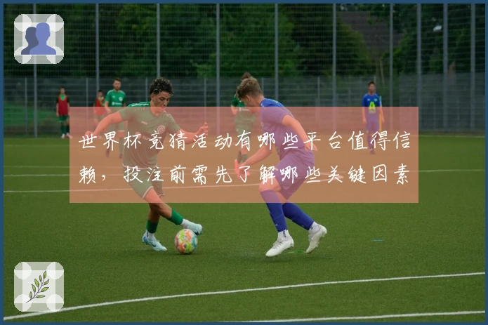 世界杯竞猜活动有哪些平台值得信赖，投注前需先了解哪些关键因素？