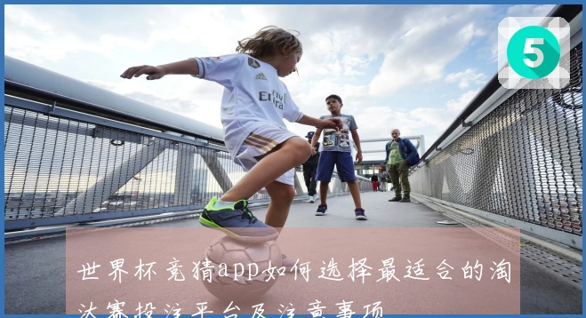 世界杯竞猜app如何选择最适合的淘汰赛投注平台及注意事项