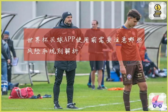 世界杯买球APP使用前需要注意哪些风险和规则解析