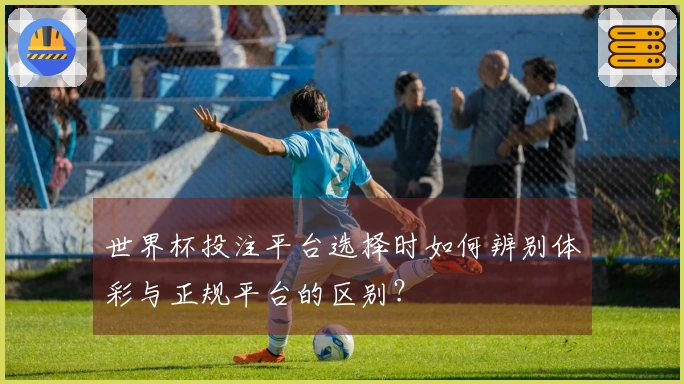 世界杯投注平台选择时如何辨别体彩与正规平台的区别？