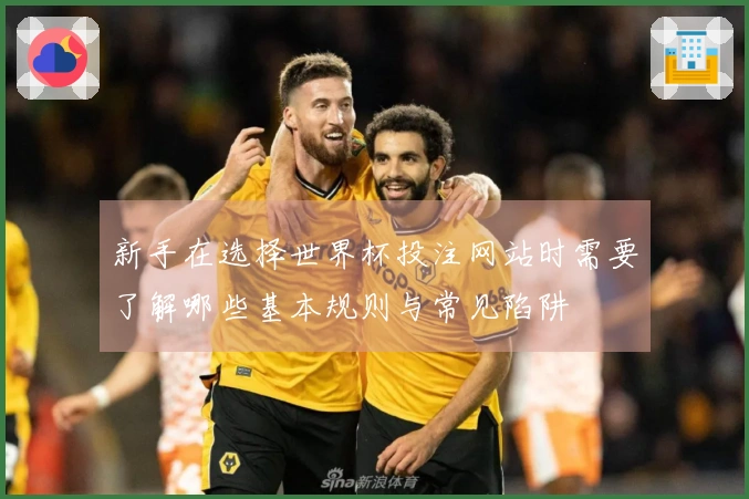 新手在选择世界杯投注网站时需要了解哪些基本规则与常见陷阱