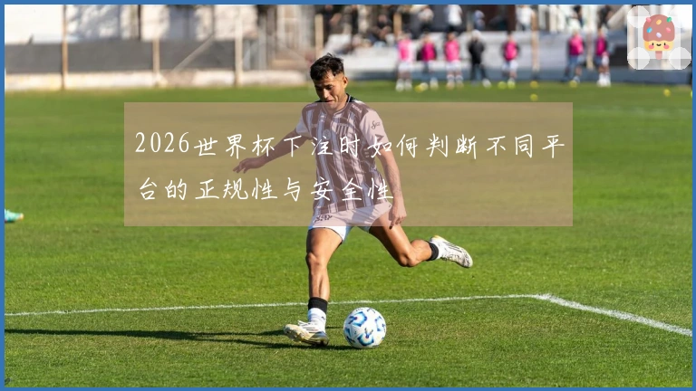 2026世界杯下注时如何判断不同平台的正规性与安全性