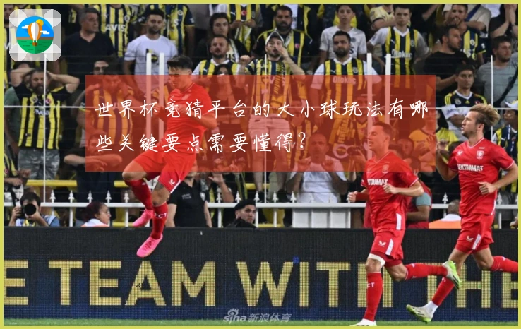 世界杯竞猜平台的大小球玩法有哪些关键要点需要懂得？