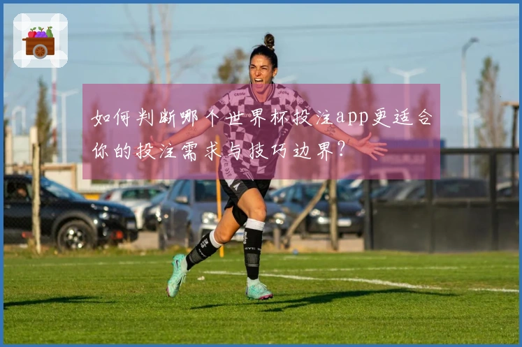 如何判断哪个世界杯投注app更适合你的投注需求与技巧边界？