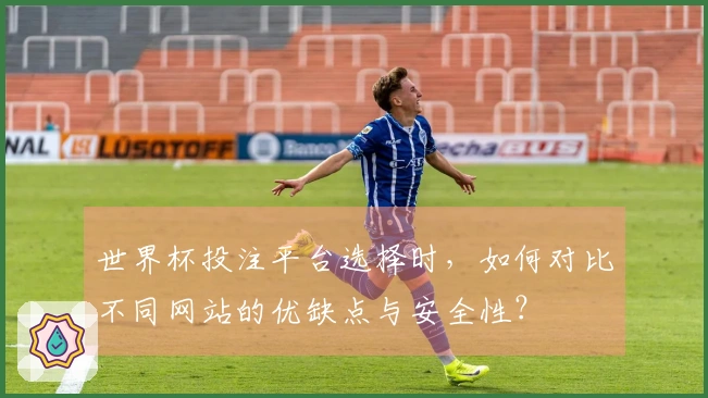 世界杯投注平台选择时，如何对比不同网站的优缺点与安全性？