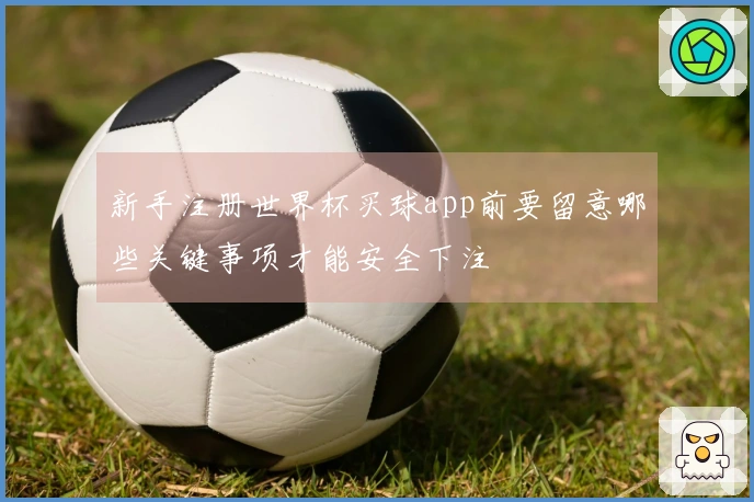 新手注册世界杯买球app前要留意哪些关键事项才能安全下注