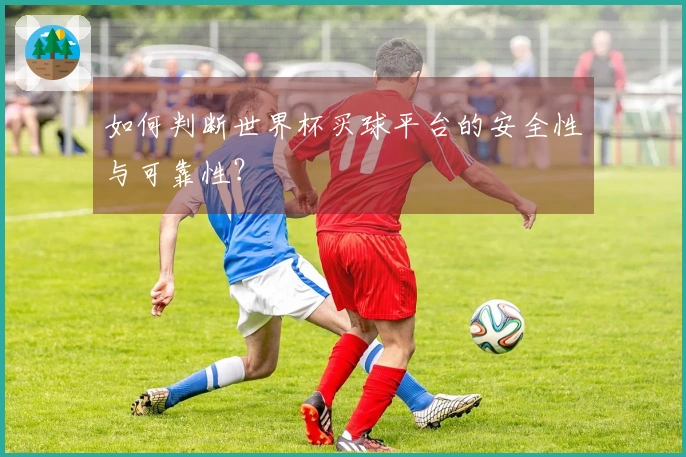 如何判断世界杯买球平台的安全性与可靠性？
