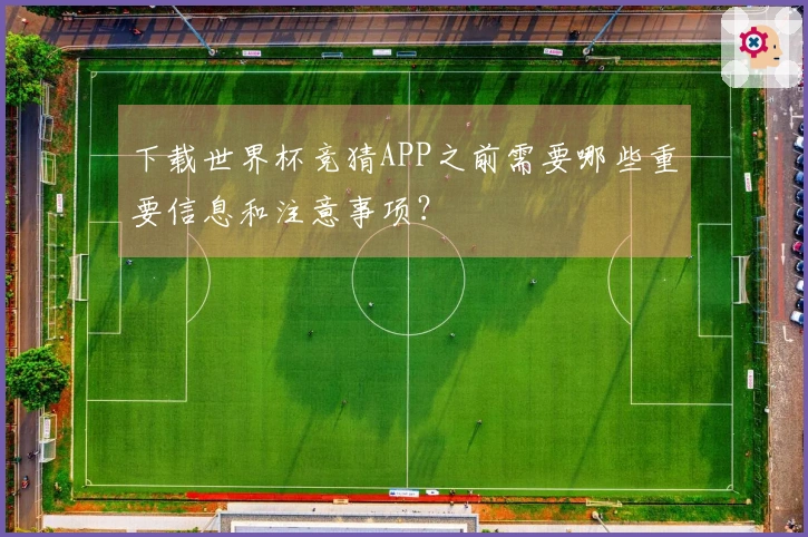 下载世界杯竞猜APP之前需要哪些重要信息和注意事项？