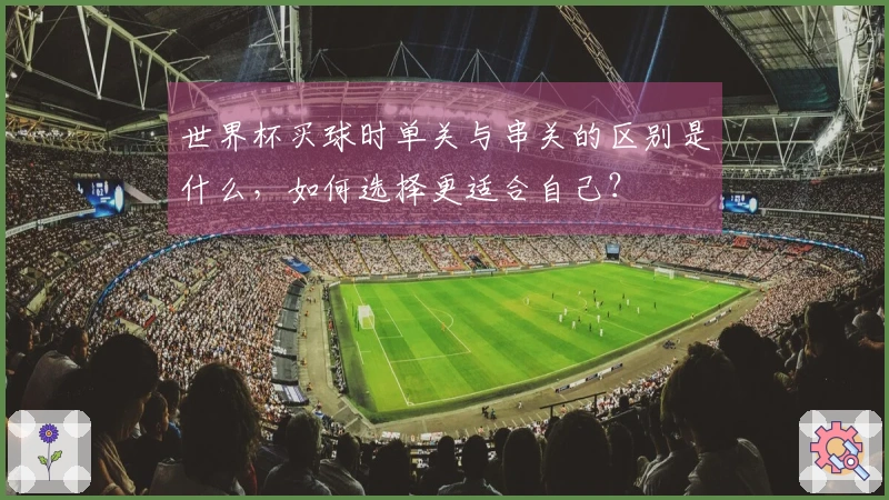世界杯买球时单关与串关的区别是什么,如何选择更适合自己?
