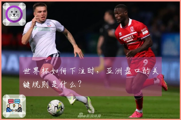 世界杯如何下注时，亚洲盘口的关键规则是什么？