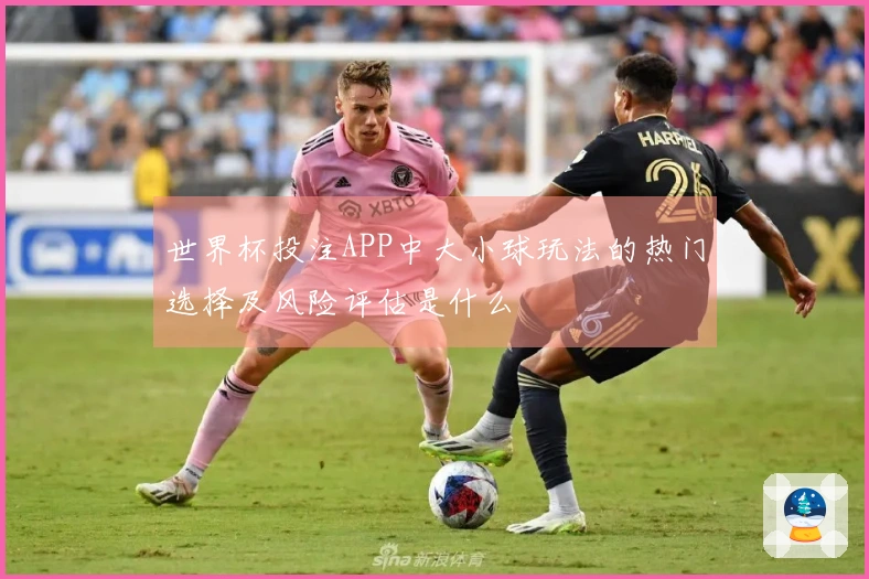 世界杯投注APP中大小球玩法的热门选择及风险评估是什么