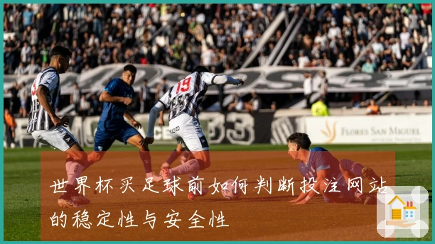 世界杯买足球前如何判断投注网站的稳定性与安全性
