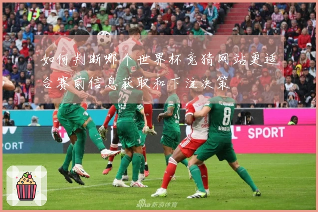 如何判断哪个世界杯竞猜网站更适合赛前信息获取和下注决策