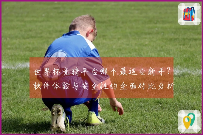 世界杯竞猜平台哪个最适合新手?软件体验与安全性的全面对比分析