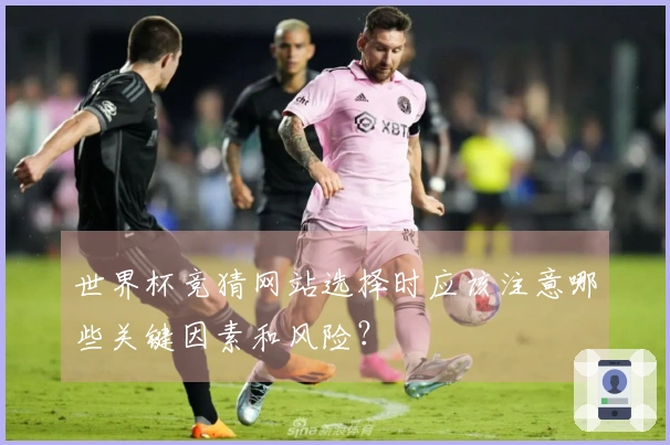 世界杯竞猜网站选择时应该注意哪些关键因素和风险？