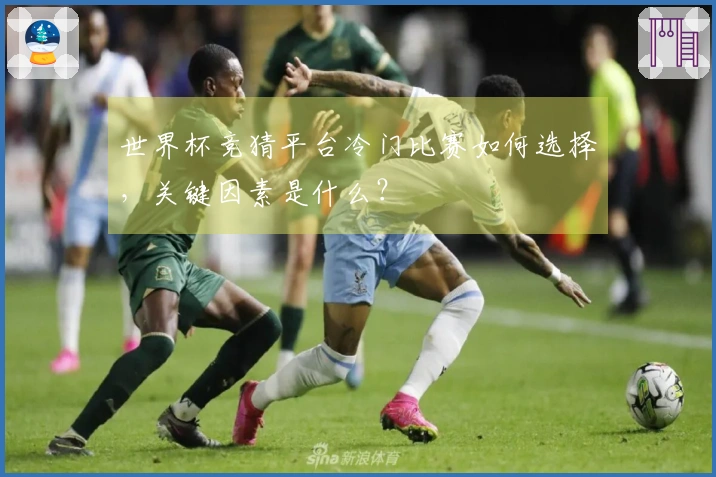 世界杯竞猜平台冷门比赛如何选择，关键因素是什么？