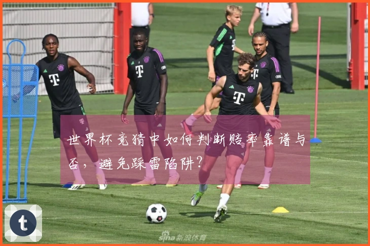 世界杯竞猜中如何判断赔率靠谱与否，避免踩雷陷阱？