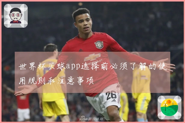 世界杯买球app选择前必须了解的使用规则和注意事项
