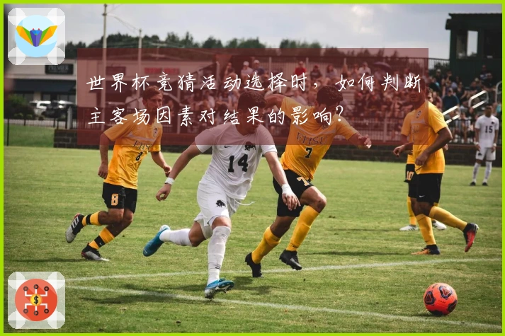 世界杯竞猜活动选择时，如何判断主客场因素对结果的影响？