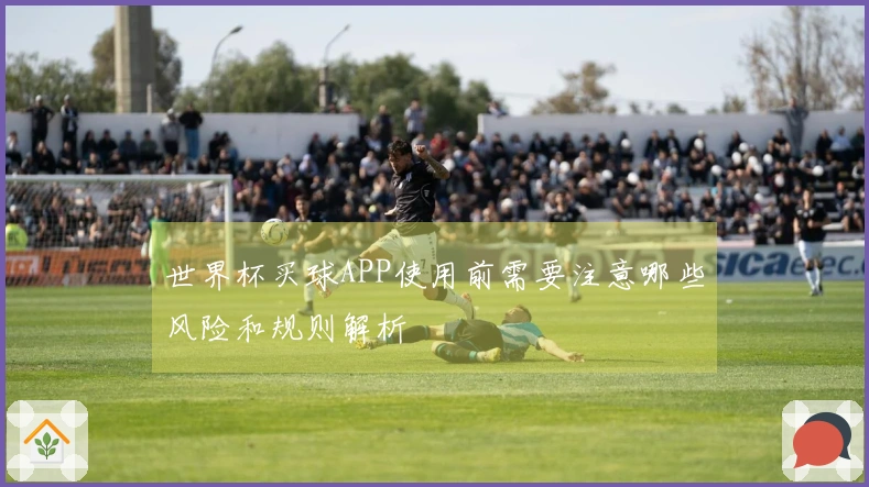 世界杯买球APP使用前需要注意哪些风险和规则解析