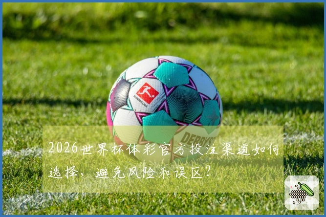 2026世界杯体彩官方投注渠道如何选择，避免风险和误区？
