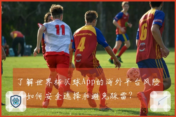 了解世界杯买球App的海外平台风险，如何安全选择和避免踩雷？