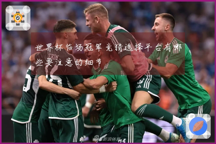 世界杯临场冠军竞猜选择平台有哪些要注意的细节