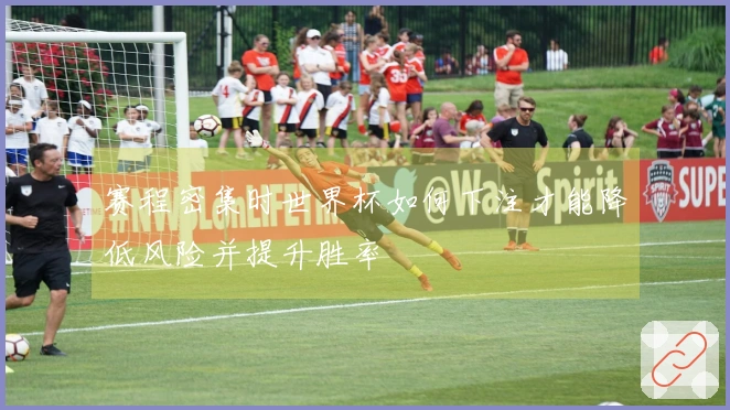 赛程密集时世界杯如何下注才能降低风险并提升胜率